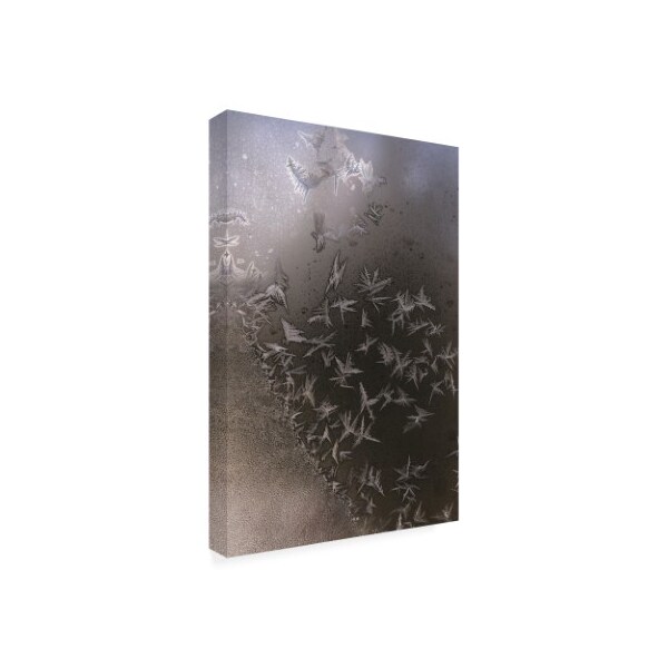 Kurt Shaffer Photographs 'Like A Flock Of Ice Crystal Birds' Canvas Art,30x47